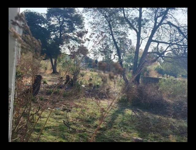 LAND FOR SALE IN GLEN AUSTIN